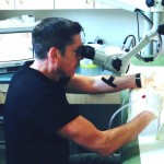 paul - microsuction